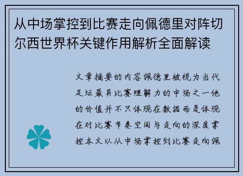 从中场掌控到比赛走向佩德里对阵切尔西世界杯关键作用解析全面解读