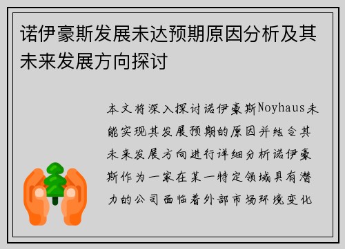 诺伊豪斯发展未达预期原因分析及其未来发展方向探讨