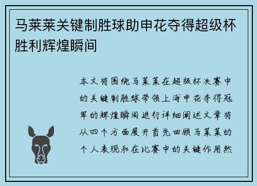 马莱莱关键制胜球助申花夺得超级杯胜利辉煌瞬间